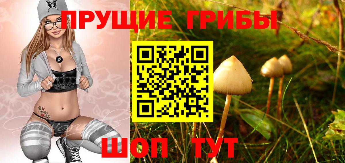 Галлюциногенные грибы Magic Shrooms  Вход с VPN  магазин продажи наркотиков  Арсеньев 
